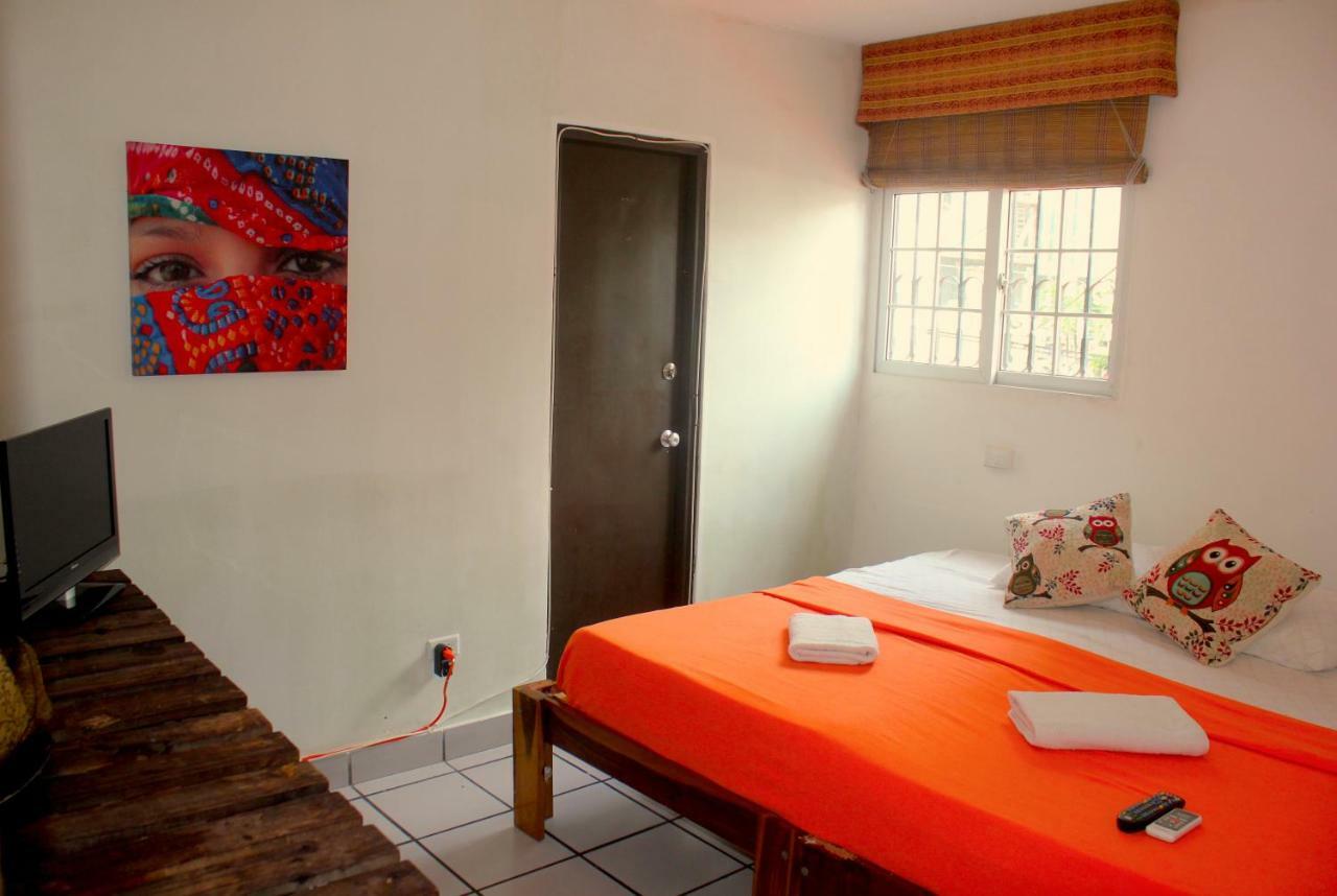 Casa Areka
