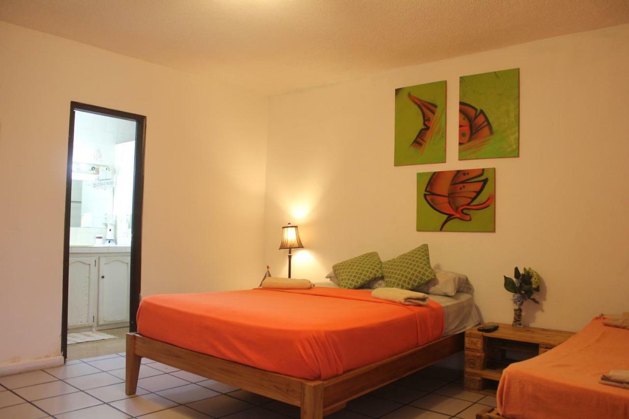 Casa Areka *
